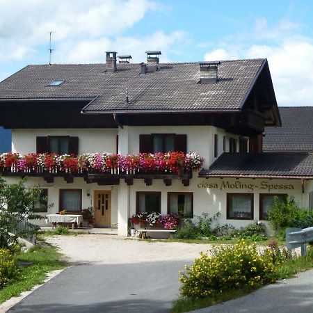 Villa Lüch da Spescia Wengen Exterior foto