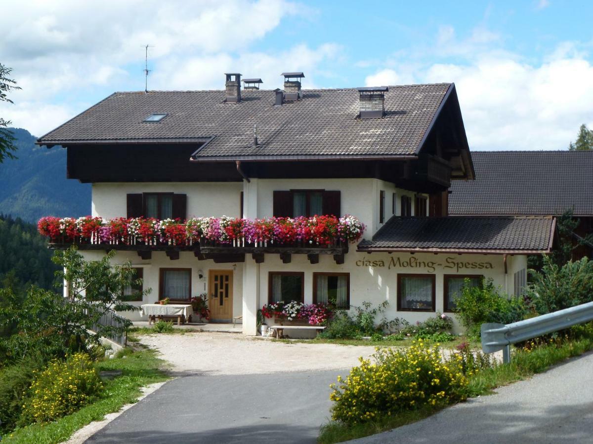 Villa Lüch da Spescia Wengen Exterior foto