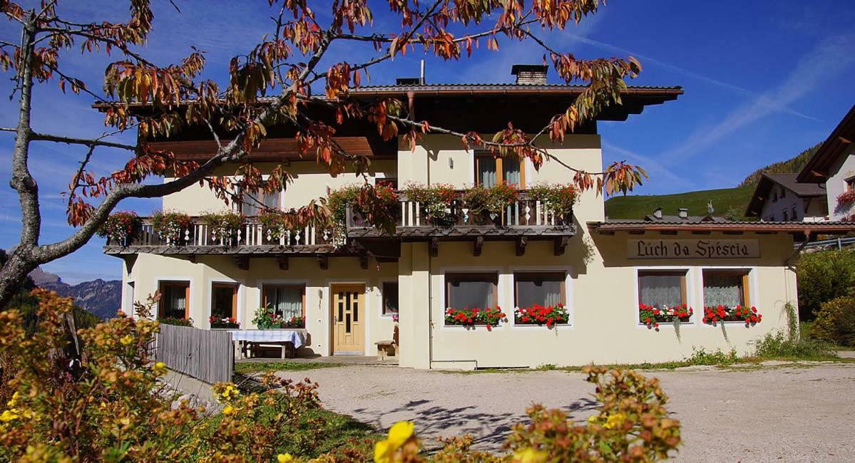Villa Lüch da Spescia Wengen Exterior foto