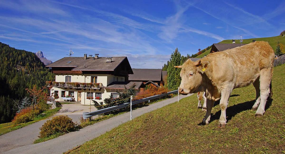 Villa Lüch da Spescia Wengen Exterior foto